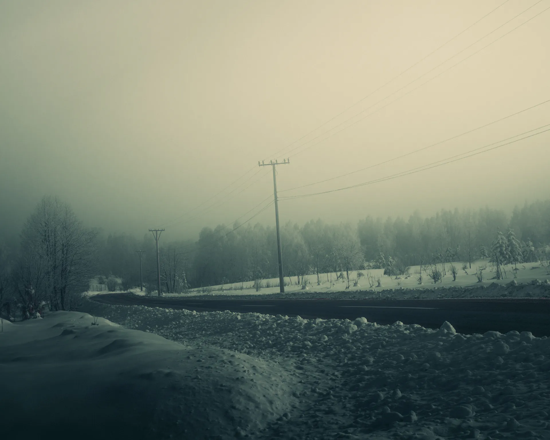 The two-lane road curving past utility poles into the misty treeline