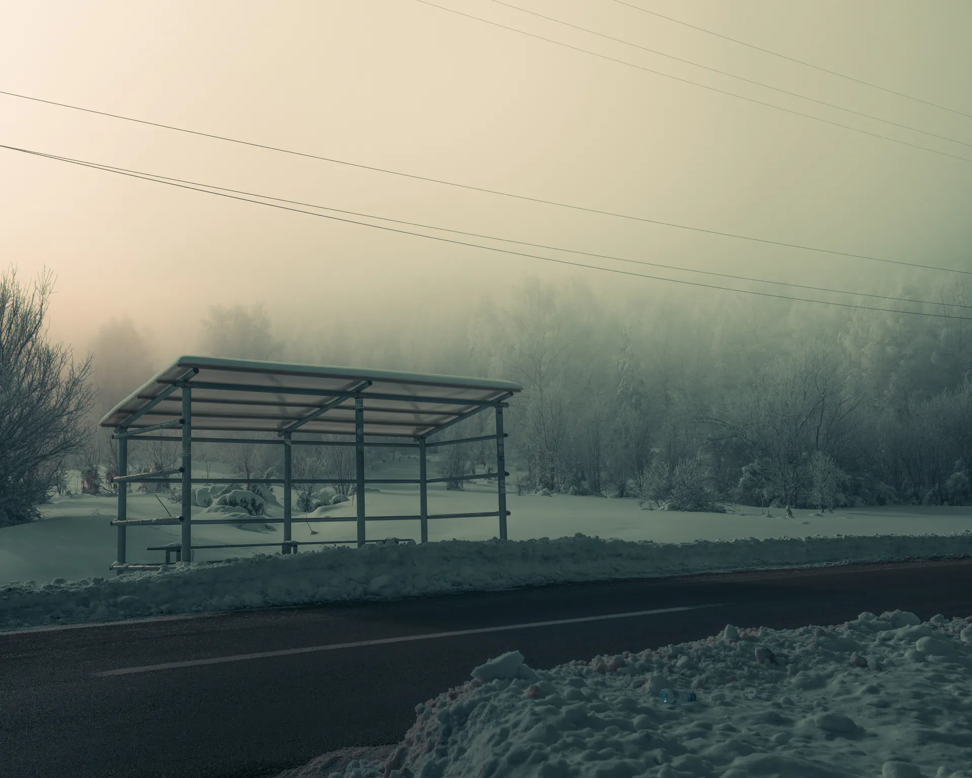 An empty frost-dusted roadside shelter beside the road, pines dissolving in fog