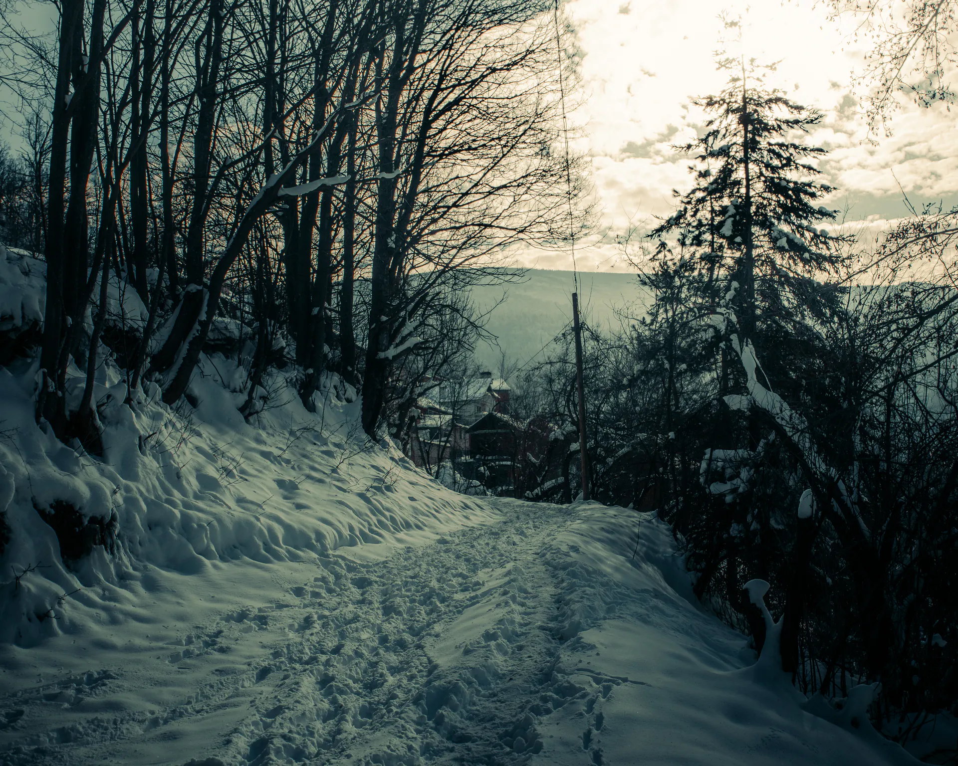 The forest path descending toward distant rooftops, sun flaring through cloud