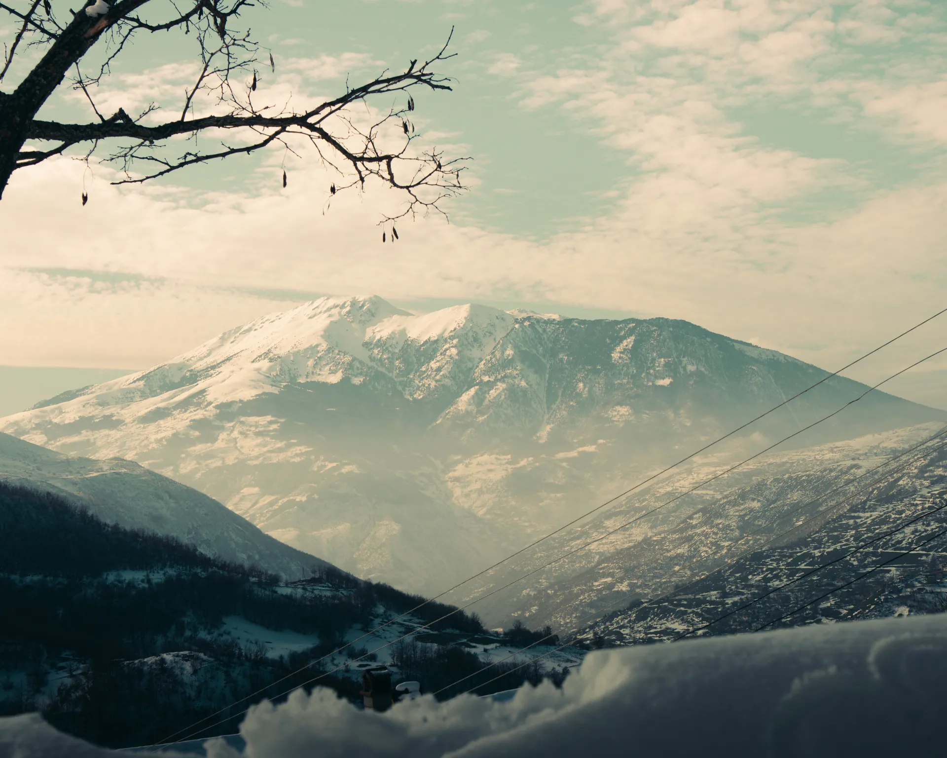 The snow-capped ridge framed by a bare branch under a diffused sky