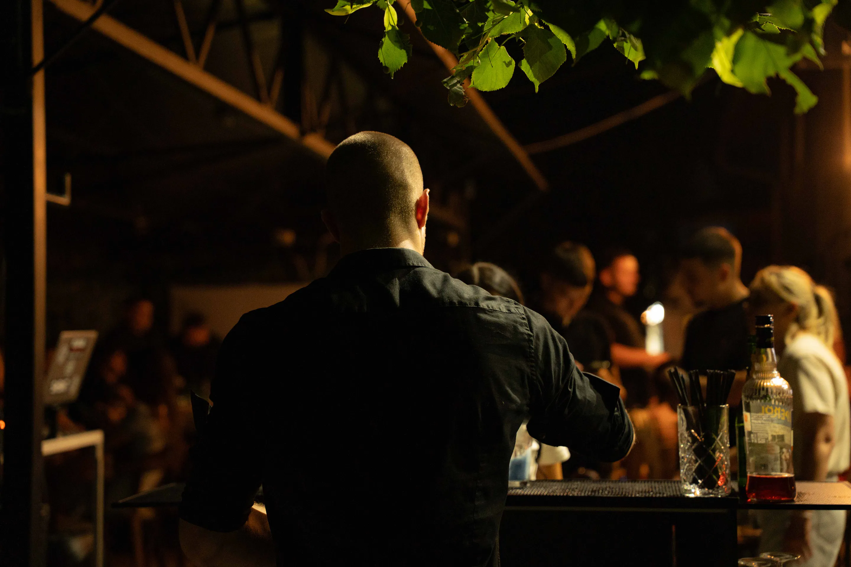 Bartender at work under the vine canopy, the terrace carrying on behind