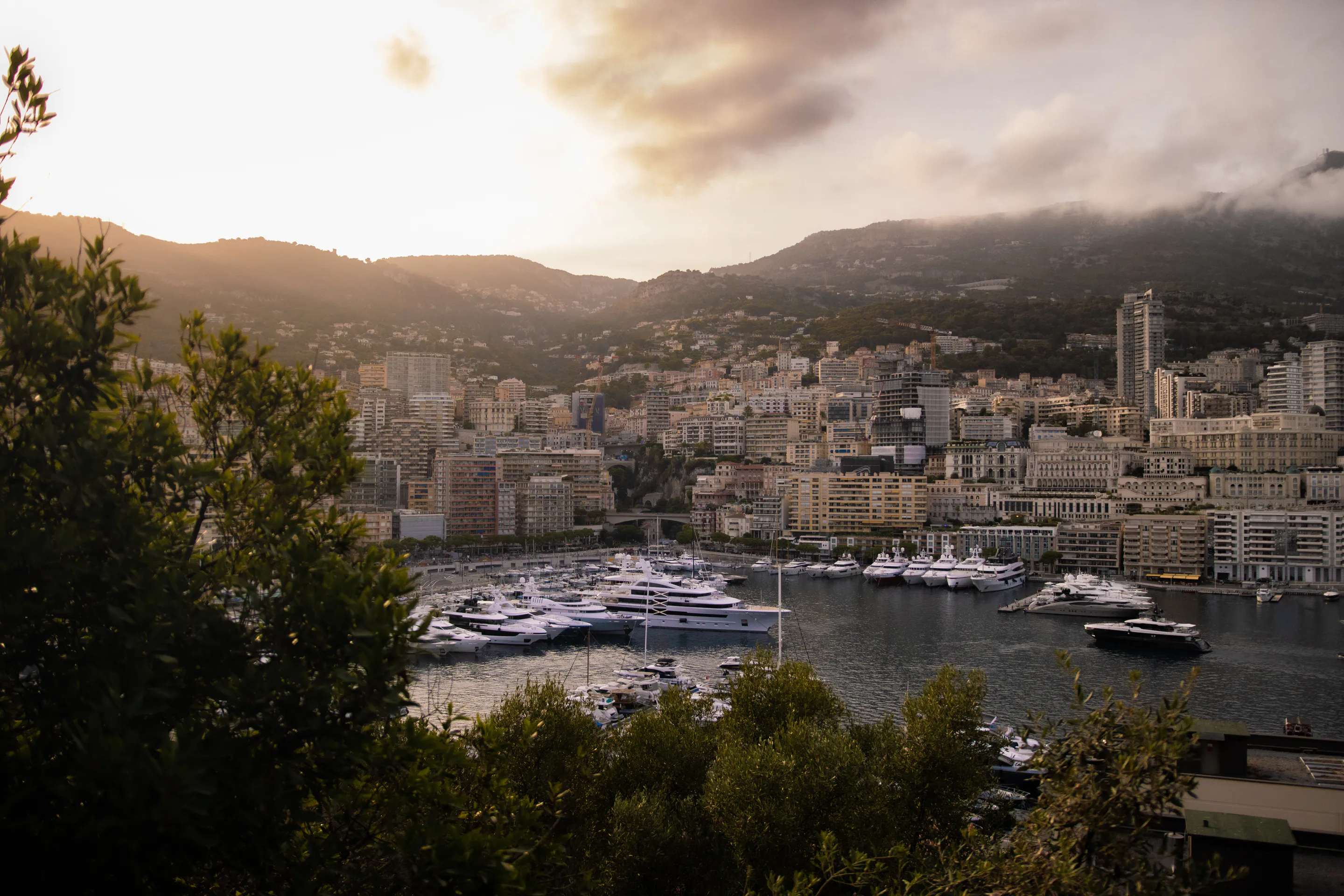 White yachts stacked in the harbour below the packed hillside